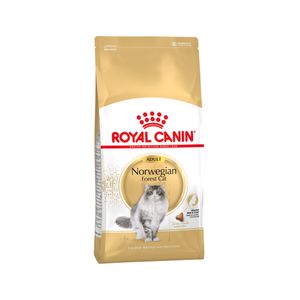 Royal Canin Norwegian Forest Cat Adult droogvoer voor kat 10 kg Volwassen Gevogelte