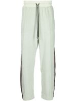 Roberto Cavalli pantalon de jogging en velours - Vert