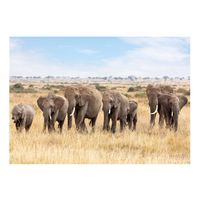 Dieren kinderkamer poster Afrikaanse olifanten op Savanne 84 x 59 cm - Posters - thumbnail