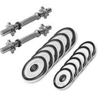 Dumbellset 27,5 kg chroom