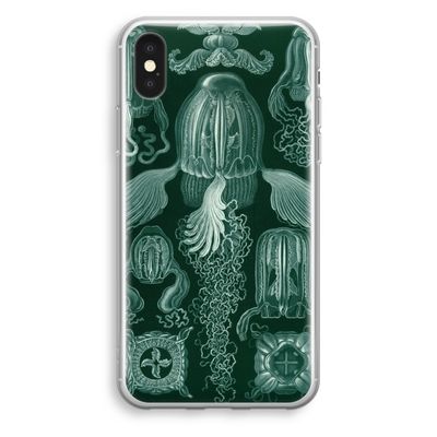 Haeckel Cubomedusae: iPhone X Transparant Hoesje