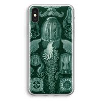 Haeckel Cubomedusae: iPhone X Transparant Hoesje