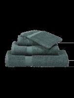Vandyck Vandyck Prestige Plain washandje 16x22 Forest Green