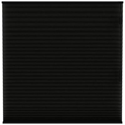 Leen Bakker - Fenstr Plisségordijn Chicago Dubbel 25mm Lichtdoorlatend - (15019) - Polyester - Zwart - 120x10x10 Cm