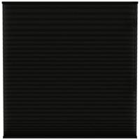 Leen Bakker - Fenstr Plisségordijn Chicago Dubbel 25mm Lichtdoorlatend - (15019) - Polyester - Zwart - 120x10x10 Cm