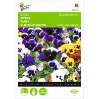 Viola, Viool Zwitserse Reuzen gemengd Viola, Viool Zwitserse Reuzen gemengd