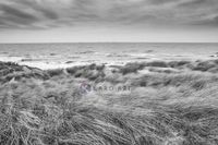 Karo-art Afbeelding op acrylglas - De Noordzee en duinen in zwart en wit