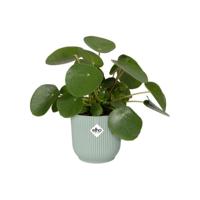 Vibes fold rond mini 9cm sorbet groen - Elho