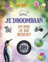 Je droombaan en hoe je die bereikt (Hardback)