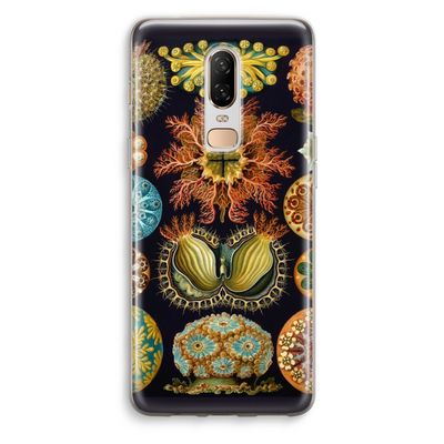 Haeckel Ascidiae: OnePlus 6 Transparant Hoesje