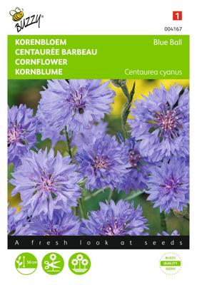 Centaurea Cyanus Dubbelbloemig Blue Ball - Buzzy