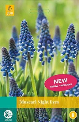Muscari Night Eyes 8 bollen - Jub