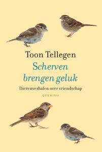 Scherven brengen geluk (Hardback)