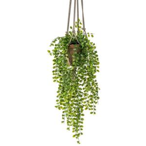 Bellatio Kunsthangplant Ficus Pumila - 80 cm - Terracotta Pot met Touw