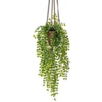 Bellatio Kunsthangplant Ficus Pumila - 80 cm - Terracotta Pot met Touw