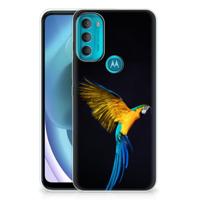 Motorola Moto G71 5G | TPU Hoesje | Papegaai