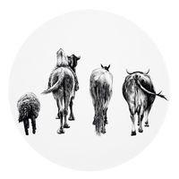 Muurcirkel Sheep Camel Horse & Cow Zelfklevend Behang 60 Geen - thumbnail
