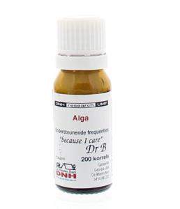 DNH Alga