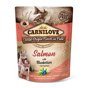 CARNILOVE DOG POUCH ZALM / BLAUWE BES VOOR PUPPIES 12X300 GR