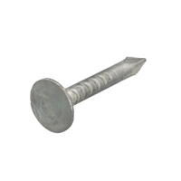 Homefix Asfaltnagel Vz 3.0X15 | 1 kg - 6702.40.20020
