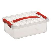 Opberg box/opbergdoos 4 liter 30 x 20 x 10 cm kunststof