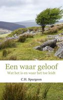 Een waar geloof - C.H. Spurgeon - ebook