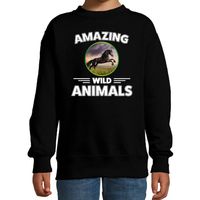 Sweater paarden amazing wild animals / dieren trui zwart voor kinderen
