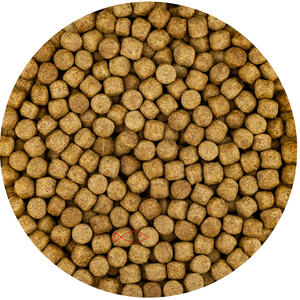 Vivani Wheat Germ 6mm Koivoer - 15kg Zak - Optimaal voor Koi Gezondheid vanaf 8°C