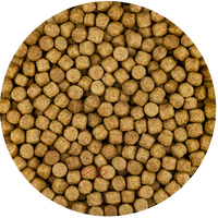 Vivani Wheat Germ 6mm Koivoer - 15kg Zak - Optimaal voor Koi Gezondheid vanaf 8°C