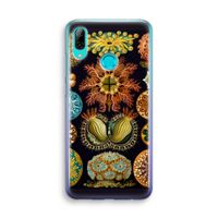 Haeckel Ascidiae: Huawei P Smart (2019) Transparant Hoesje