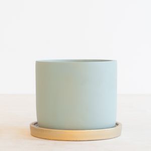 Eindhoven Groen/Goud - P14