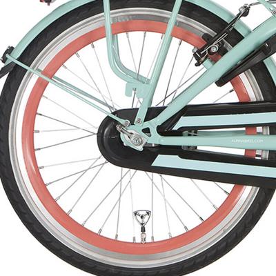 Alpina achterwiel 20 remnaaf j19db salomon zink spk