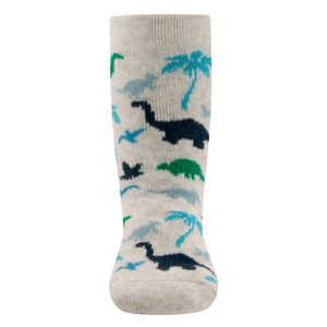 Antislip sokken met dinosaurus