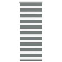 Zebra rolgordijn 55x150 cm stofbreedte 50,9 cm donkergrijs