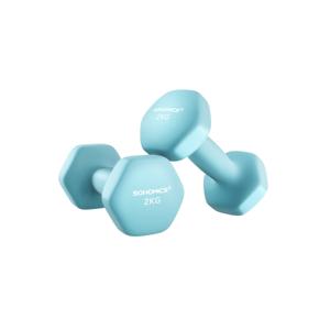 Hexagon dumbbells voor thuis met neopreen coating, Lichtblauw / 2 x 2 kg