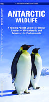 Vogelgids - Natuurgids Antarctic Wildlife | Waterford Press
