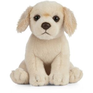 Pluche Golden Retriever hond knuffeldier zittend 16 cm   -