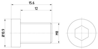 Schroef, remschijf TPM0009