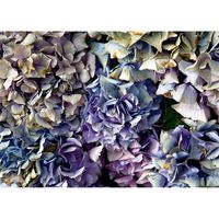 Inductiebeschermer - Blauwe Hortensia - 56x38 cm - thumbnail