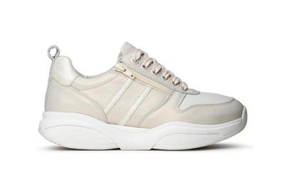 Xsensible 30070.3 SWX3 Lady