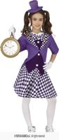 Mad Hatter Crazy Kostuum Kind