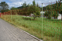 Euro-Netz Combi Pluimvee 112 cm dubbelpunt