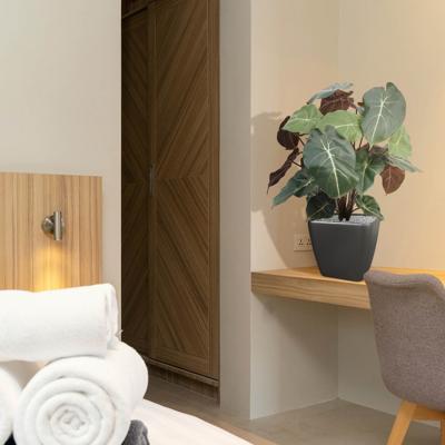 Syngonium kunstplant 60cm