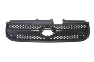 Radiateurgrille 6502078179994P