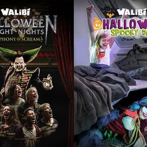 Halloween in Walibi Holland + overnachting (7 p.)
