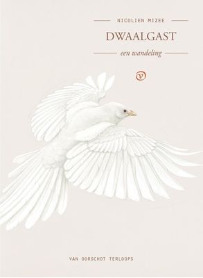 Dwaalgast - Nicolien Mizee - ebook