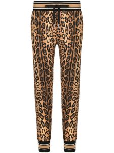 Dolce & Gabbana pantalon de jogging à imprimé léopard - Marron