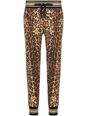 Dolce & Gabbana pantalon de jogging à imprimé léopard - Marron