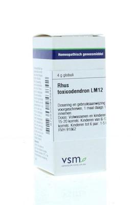 VSM Rhus toxicodendron LM12 4 Gram
