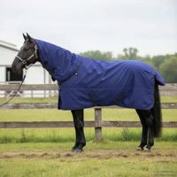 VidaXL Paardendeken donkergroen en zwart 145 cm polyester